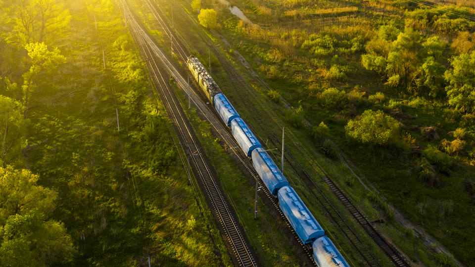 Gueterzug in der Natur