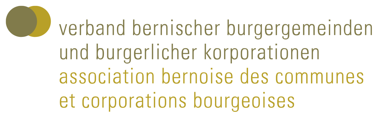 Logo VBBG