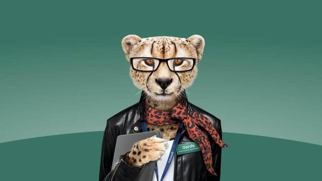 Gepard Gerda